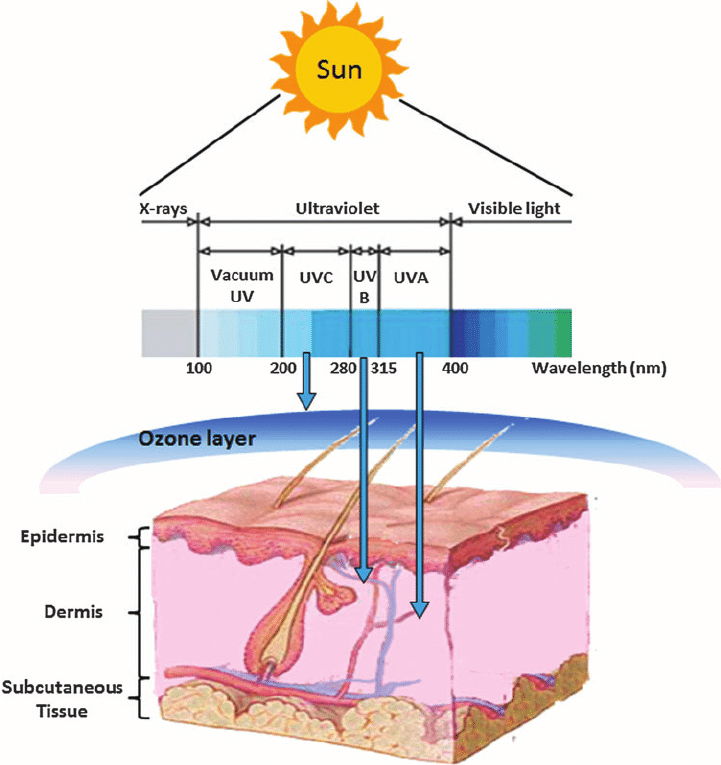 The Physics of UV Radiation