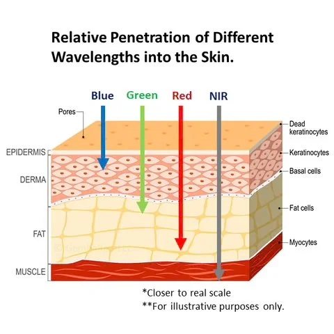 How Red Light Therapy Works on the Skin